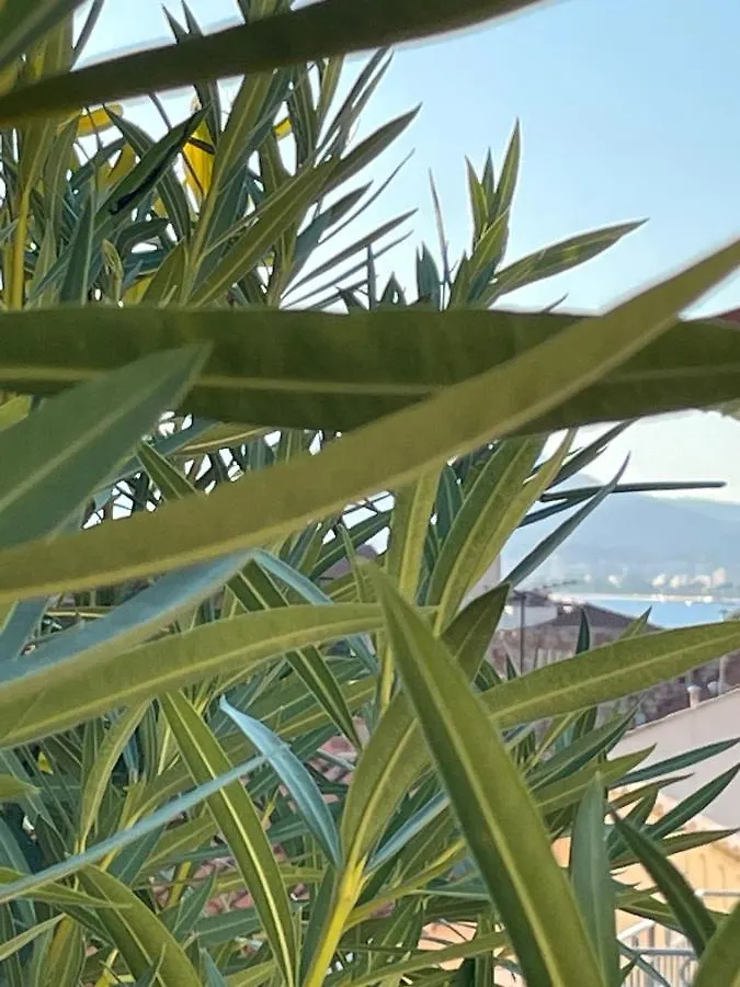 La Maison Cannes 0*,